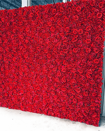 rozen muur