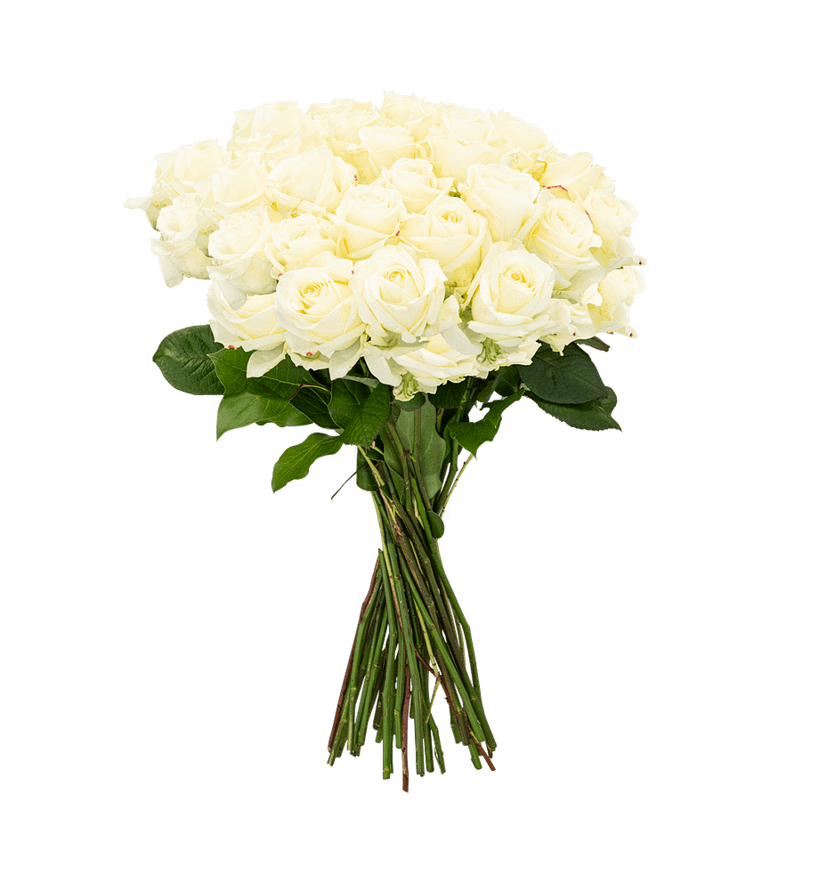 wit rozen boeket